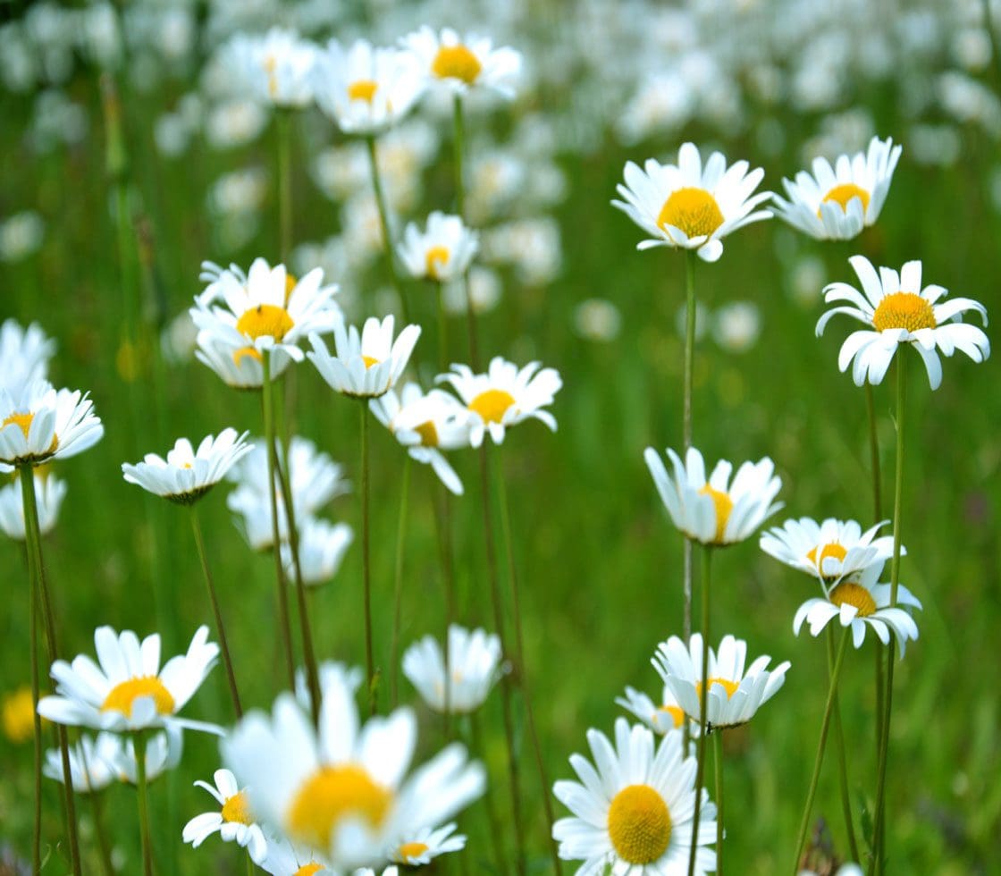 Ways to Give Your Email Marketing a Spring clean