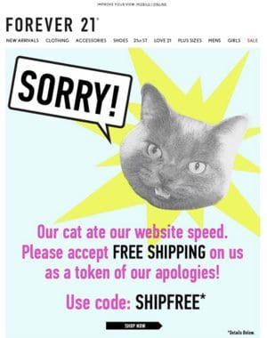 mass-apology-email