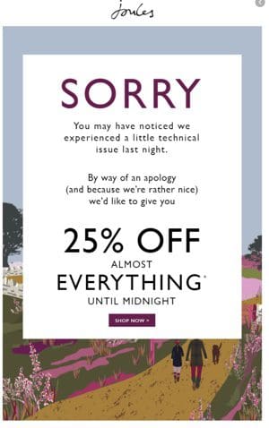 positive apology email