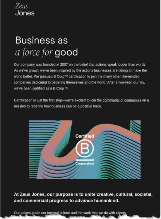 zeus company newsletter template